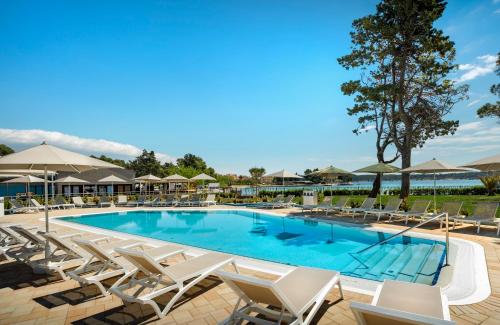 拉布Padova Premium Camping Resort by Valamar的一个带椅子和遮阳伞的大型游泳池