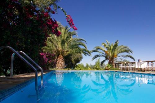 Corona科罗纳旅客农家乐的一座棕榈树环绕的大型游泳池
