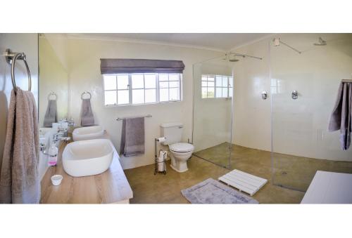 阿多Addo Park Vista的一间带卫生间和玻璃淋浴间的浴室