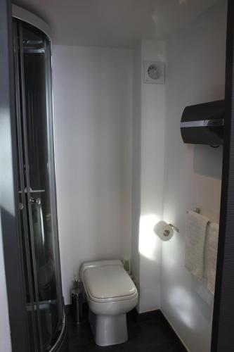 里尔Les Cariatides的一间带卫生间和淋浴的小浴室
