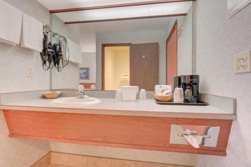 雷德蒙德雷德蒙德酒店的浴室的柜台设有水槽和镜子