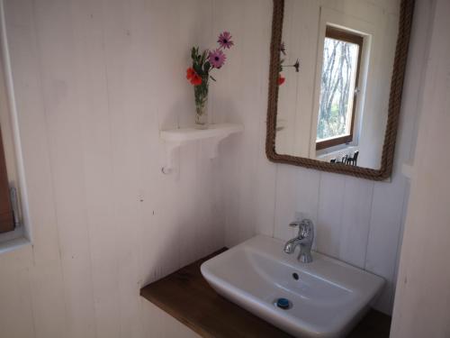阿尔热祖尔Moledos glamping的浴室水槽,配有镜子和花瓶