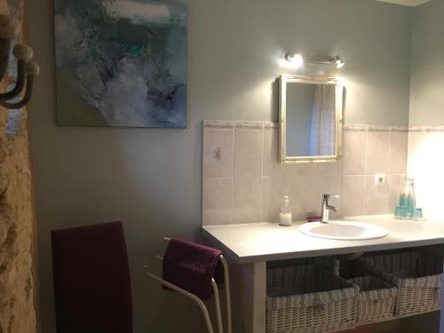 Saint-Germain-de-Belvès莱斯帮蒂尼斯住宿加早餐旅馆的一间带水槽和镜子的浴室