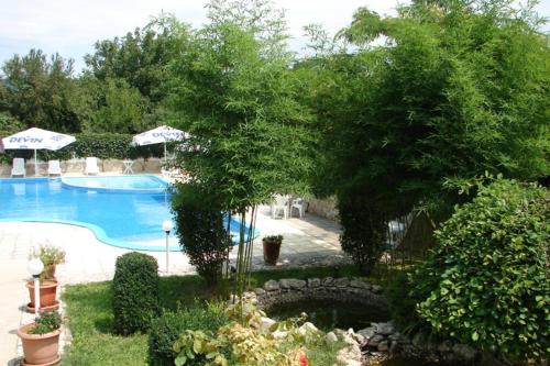 克兰内沃Villas Chinara的享有游泳池旁树木的景致