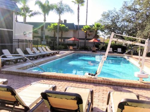 奥兰多格兰德湖莱芙泰姆度假酒店的一个带躺椅的游泳池