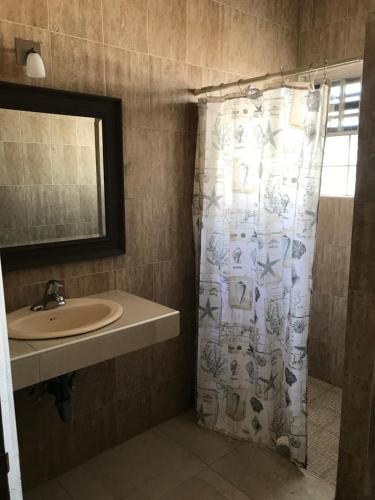 基诺湾Casa Paraiso de Kino的浴室配有淋浴帘和盥洗盆。