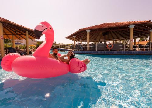 科林比亚梦幻酒店的水里两个粉色天鹅