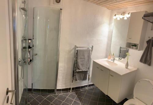 斯坎讷堡Villa Toften的带淋浴、盥洗盆和卫生间的浴室