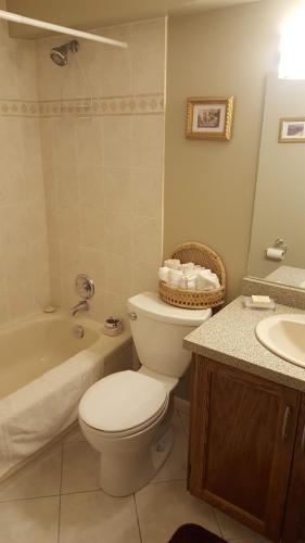 圣艾伯特窗户山脉旅馆的浴室配有卫生间、浴缸和水槽。