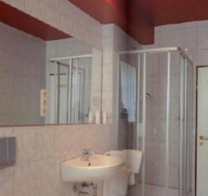 舍姆贝克祖尔林德酒店的一间带水槽、淋浴和镜子的浴室