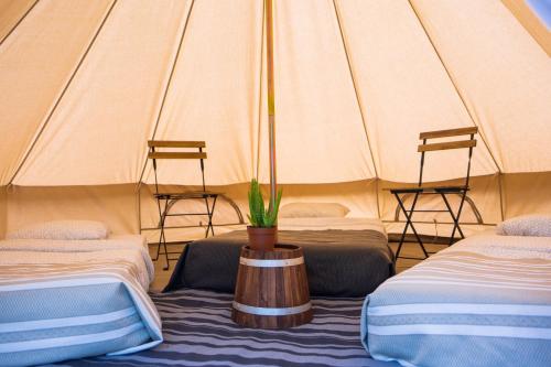比斯卡罗斯The Spot Surfcamp的帐篷,配有两张床和盆栽植物