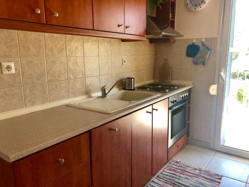 基拉奇尼Gerakini 2BR Apt with Shared Pool的厨房配有水槽和炉灶
