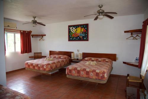 TamiahuaPuerto Lobos Dive camp的一间卧室配有两张床和吊扇