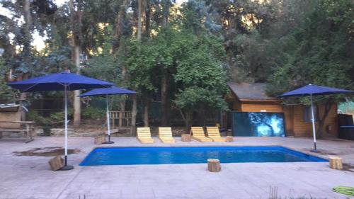 圣何塞德迈波Cabañas y Hotel Rural Mirador del Maipo的一个带两把蓝色遮阳伞和椅子的游泳池