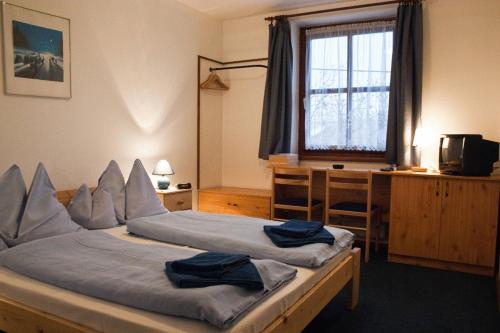 布达厄尔什阿德勒佩泽欧酒店的一间卧室设有两张床、一张桌子和一个窗口。
