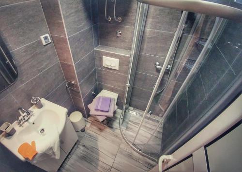 科托尔别墅PM公寓的带淋浴、盥洗盆和卫生间的浴室
