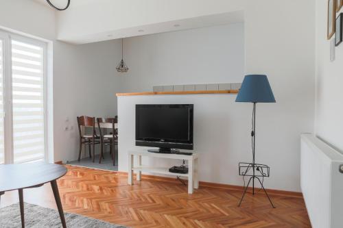 弗拉涅Apartment Mihajlovic的客厅设有壁挂式平面电视。