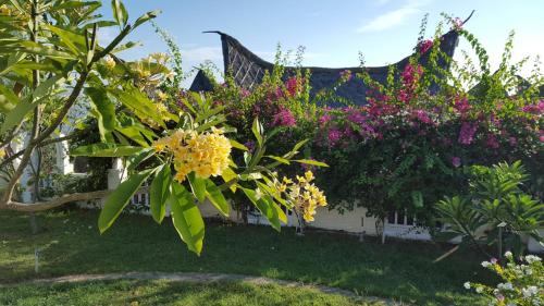 特鲁卡那拉特Princess of Mentigi Bay的一座种满五颜六色花卉的花园