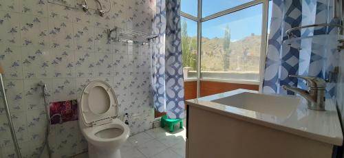 列城Youthok Guest House的一间带卫生间和水槽的浴室