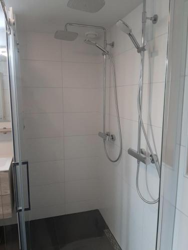 佩滕Iefjeshoeve的带淋浴的浴室和玻璃门
