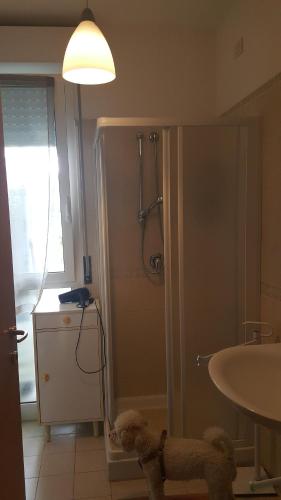 米萨诺阿德里亚蒂科condominio vite的带淋浴和盥洗盆的浴室