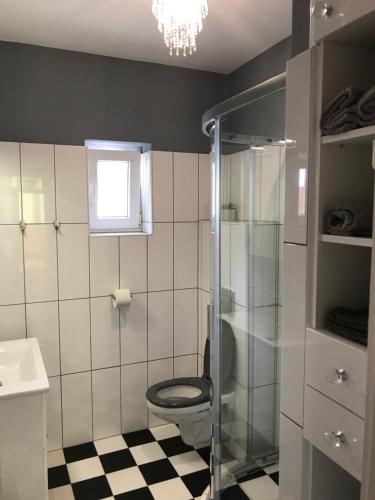 赫维兹Villa Trófea的一间带卫生间和玻璃淋浴间的浴室