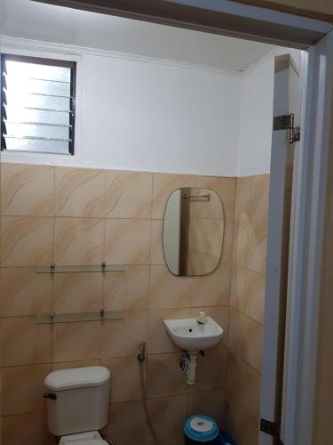 曼巴豪山景度假屋的一间带水槽、卫生间和镜子的浴室