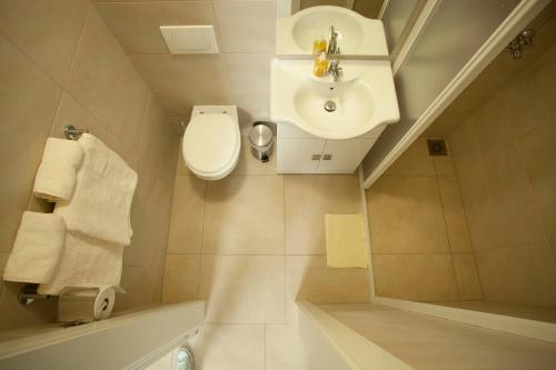 波斯托伊纳克里克民宿的一间带卫生间和水槽的浴室