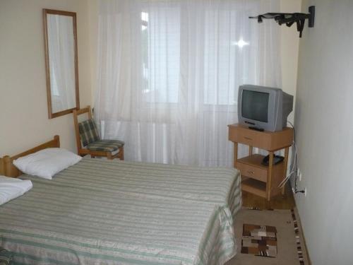 布勒伊拉雷格尔酒店的一间卧室配有一张床和一张桌子上的电视