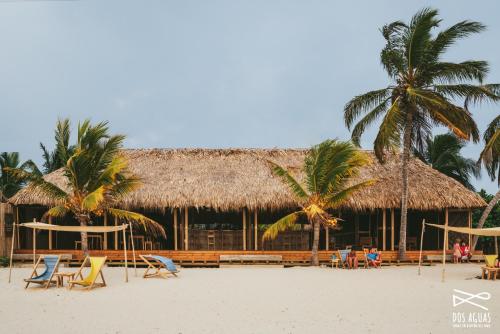 RincónDos Aguas Lodge的海滩上的度假村,设有椅子和棕榈树