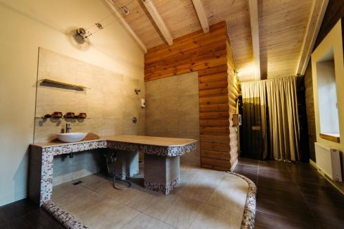斯摩棱斯克SPA Hotel Veranda的一间带水槽和台面的浴室