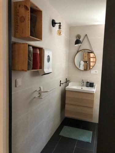 巴约讷Euskal etxea的一间带水槽和镜子的浴室