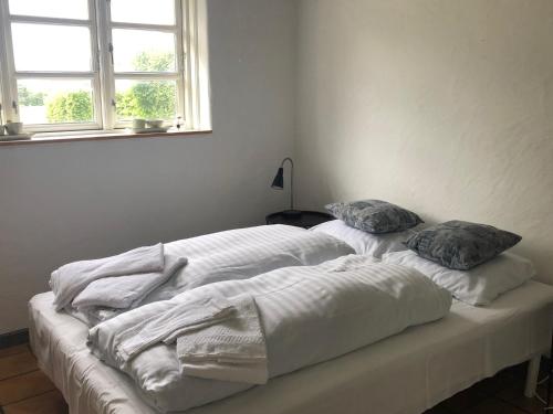 腓特烈西亚Dancamps Trelde Naes的带窗户的客房内的2张白色床