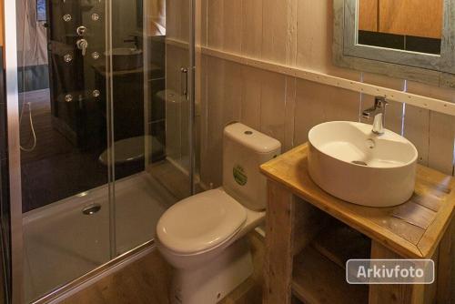 腓特烈西亚Dancamps Trelde Naes的浴室配有卫生间、盥洗盆和淋浴。