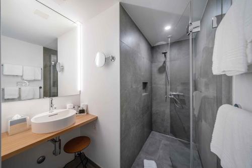 巴塞尔SET Hotel.Residence by Teufelhof Basel的一间带水槽和淋浴的浴室