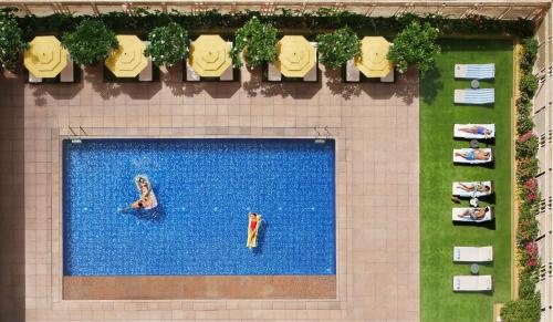 孟买President - IHCL SeleQtions的享有酒店游泳池的顶部景色