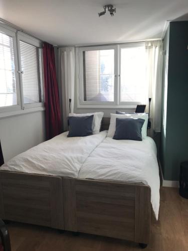 阿珀尔斯哈B&B Trefkerk的卧室设有一张大床,设有两个窗户