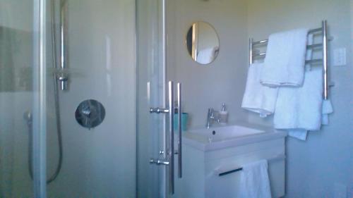 CartertonWaihakeke Cottage的带淋浴、盥洗盆和淋浴的浴室