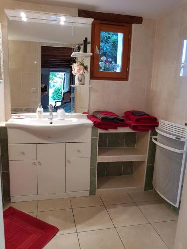 PrigonrieuxChambres d'Hotes Carpediem的浴室设有白色水槽和镜子