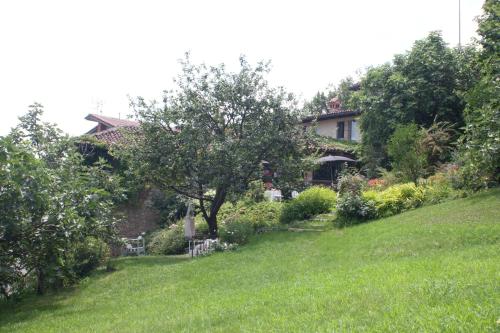Neviglie丁迪纳农家乐的一座带绿色庭院的山丘上的房子