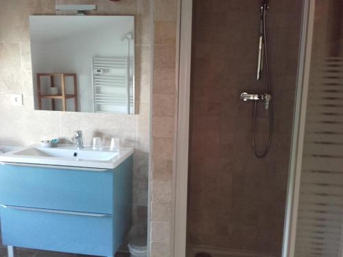 勒卡斯特雷特Appartement Domaine l'Oliveraie的一间带水槽和淋浴的浴室