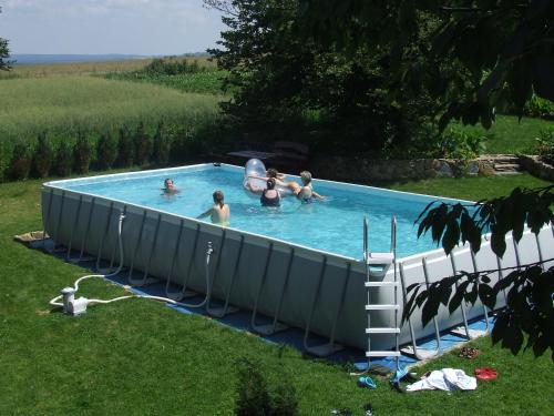 WolimierzChata na Borowinowej的一群人在院子里的游泳池里