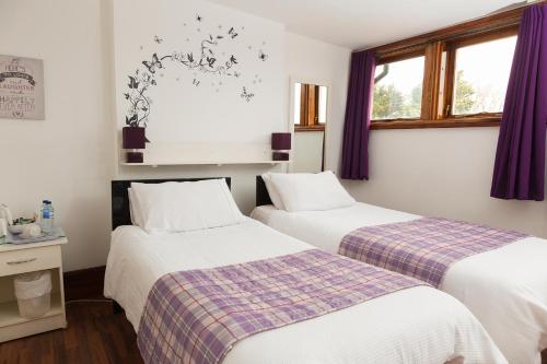布特尔微风宾客酒店的紫色窗帘间内的两张床