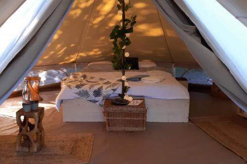 Hoopoe Glamping