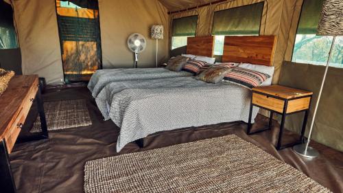楚梅布ZuriCamp - Tent Amani的一间卧室配有一张床和一张带台灯的桌子