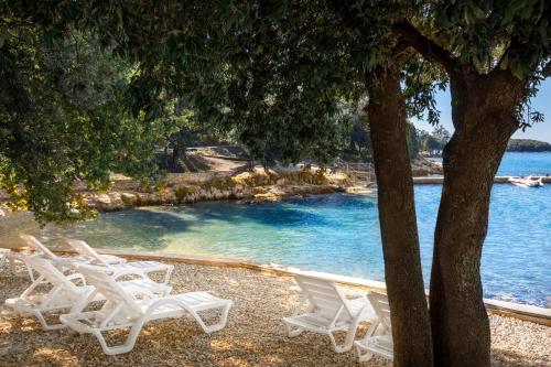 冯塔纳Maistra Select Funtana All Inclusive Resort的一组坐在水边的白色椅子