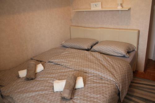 诺维萨德Very central cozy apartment的小型客房设有两张单人床,