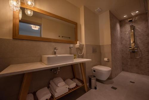 阿菲托斯Elies 33 Bio Retreat的一间带水槽、卫生间和镜子的浴室