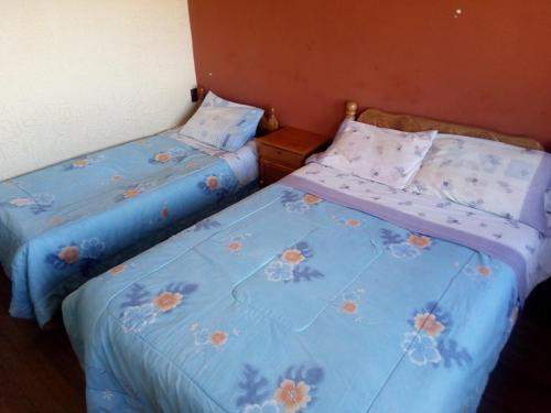 Isla de SolLas Cabañas Lodge的两张睡床彼此相邻,位于一个房间里