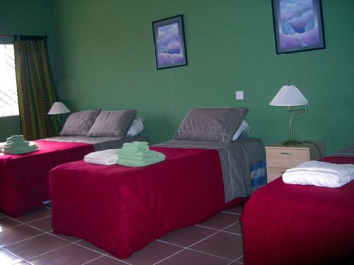 Bortianor牙买加旅馆的一间卧室设有两张床和绿色的墙壁
